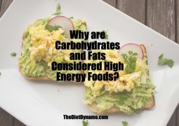 Why are Carbs and Fats Considered High Energy Foods?